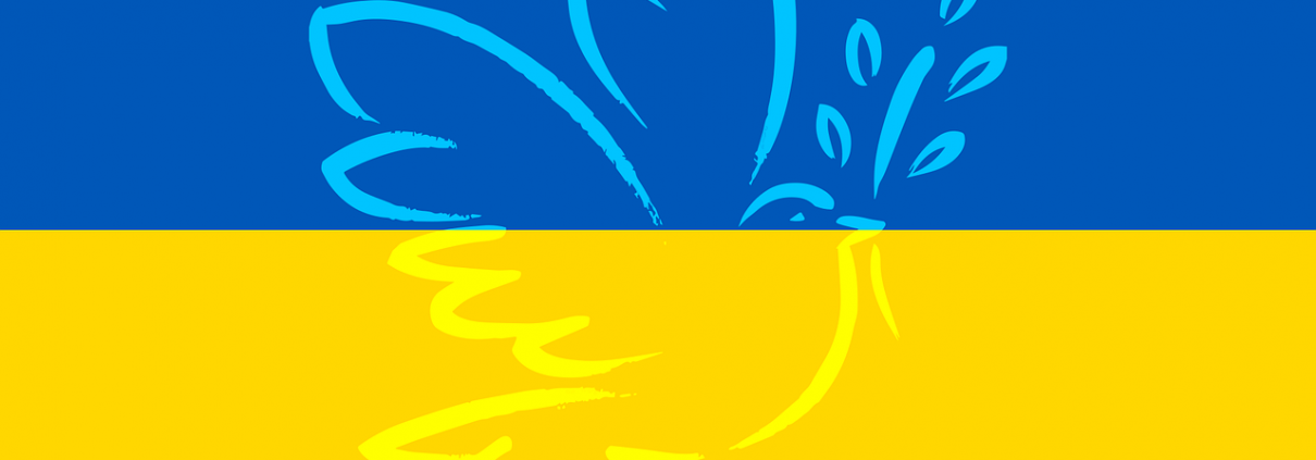 Ukrainische Flagge mit Taube